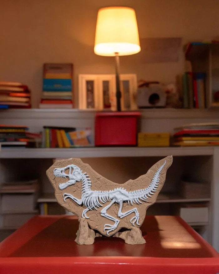 Dino Evidence – Prehistoric Relief Display