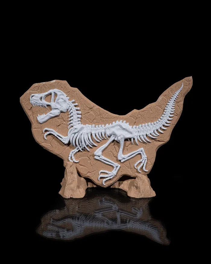 Dino Evidence – Prehistoric Relief Display