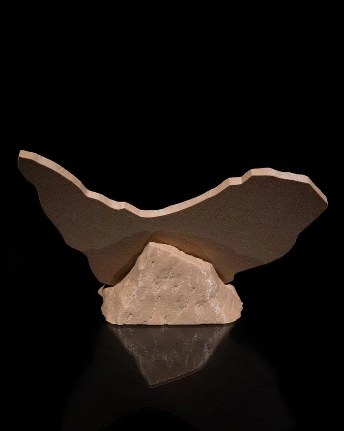 Dino Evidence – Prehistoric Relief Display