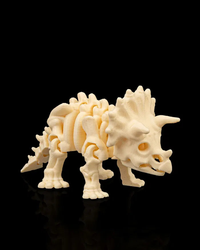 Skeleton Triceratops