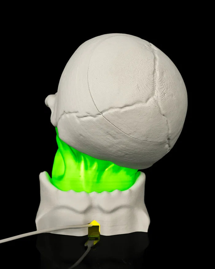 Skull Gut – Table Lamp