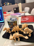 Ultimate Prehistoric Skeleton Bundle (6-Piece Set)