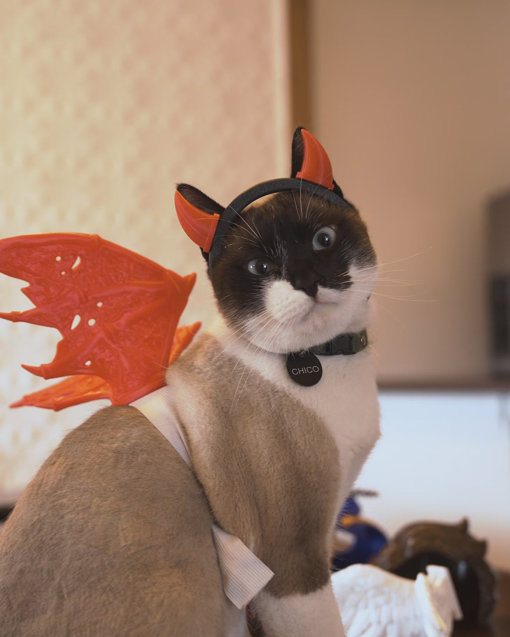 Devil Wings & Horns Pet Costume Set