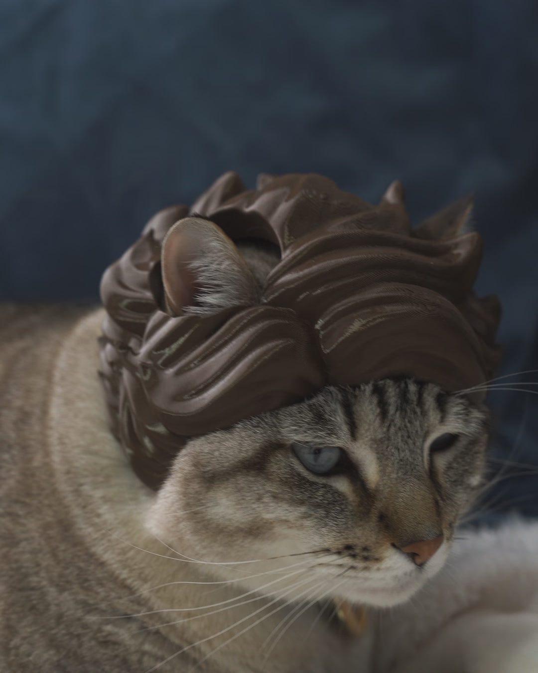 Anime Hair Cat Helmet