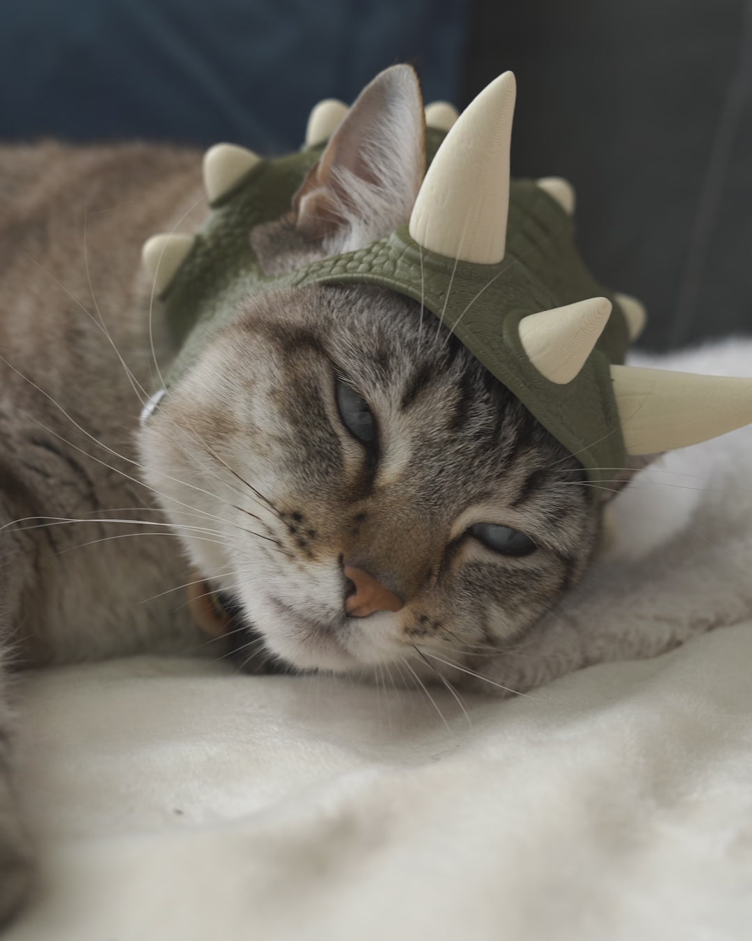 Dino Spikes Pet Crown