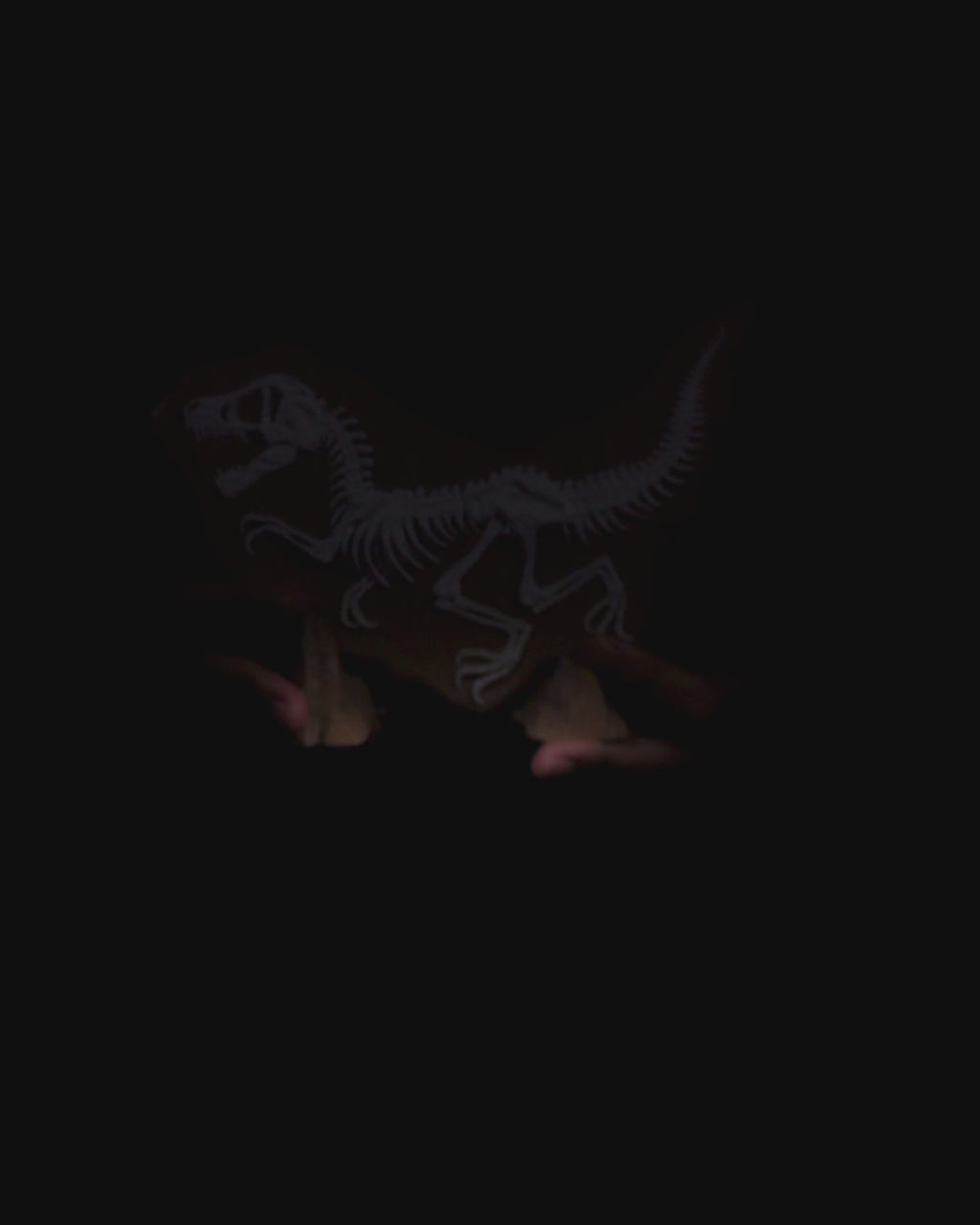 Dino Evidence – Prehistoric Relief Display