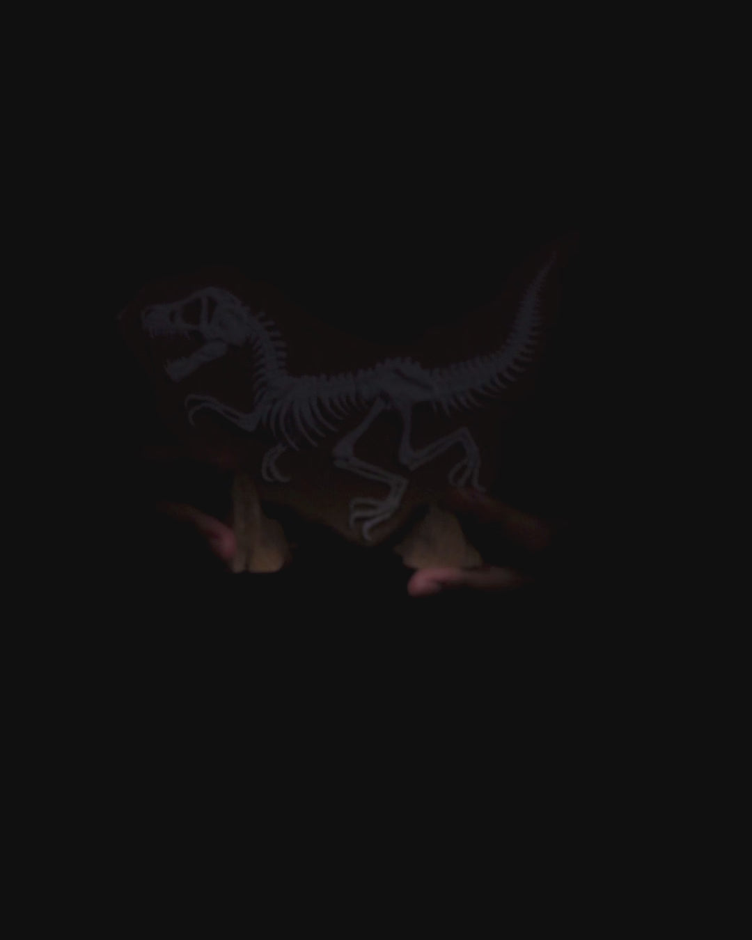 Dino Evidence – Prehistoric Relief Display