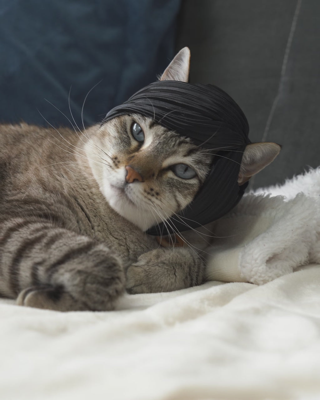 Sleek Bob Wig Cat Helmet