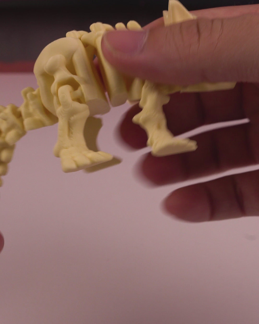 Skeleton Ankylosaurus
