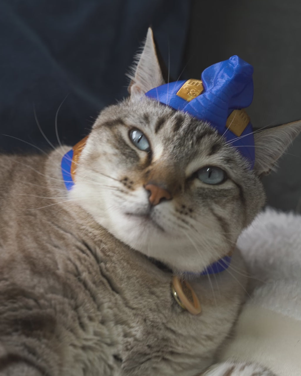 Pharaoh Cat Crown Headdress