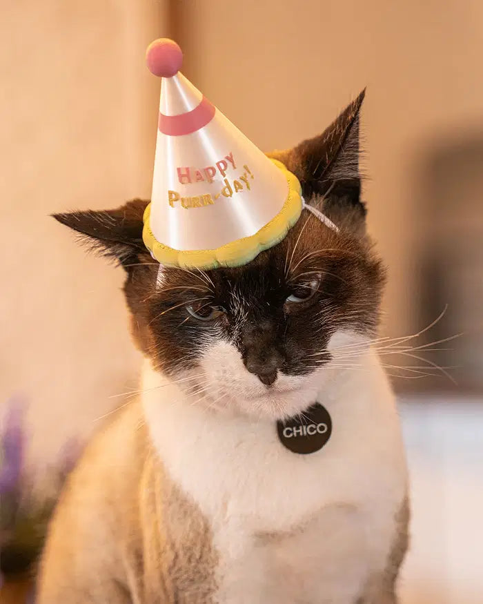 Happy Purr-day Party Hat Pet Accessory