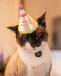 Happy Purr-day Party Hat Pet Accessory