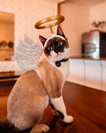 Angel Wings & Halo Pet Costume Set