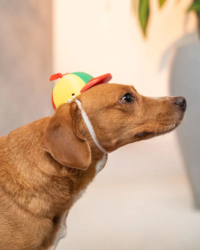 Propeller Beanie Pet Hat