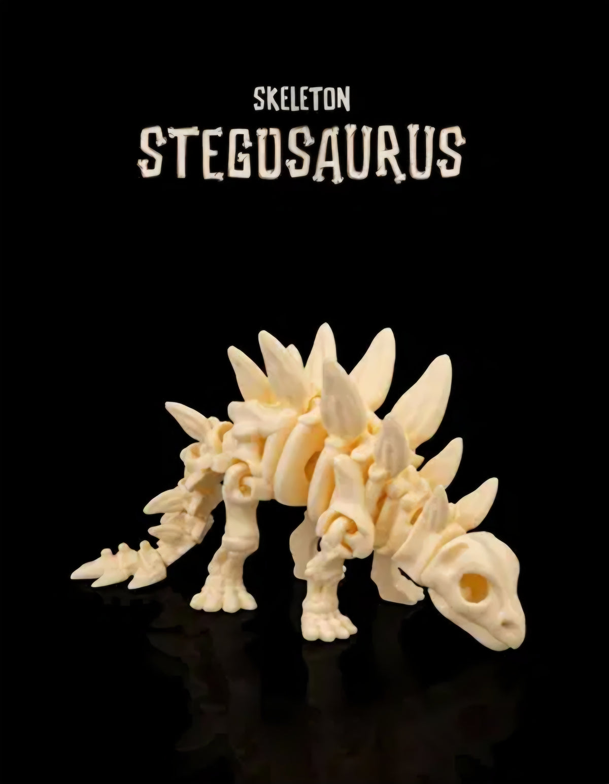Skeleton Stegosaurus