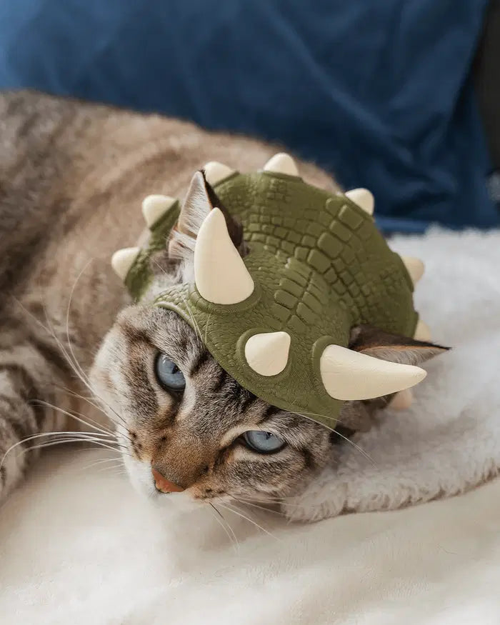 Dino Spikes Pet Crown