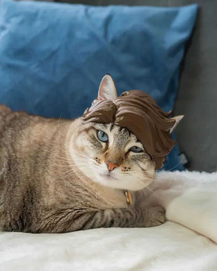 Anime Hair Cat Helmet