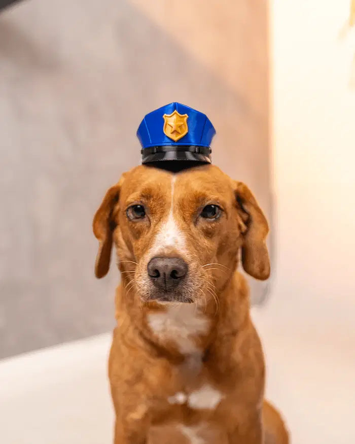 Officer Woof Police Hat Pet Costume