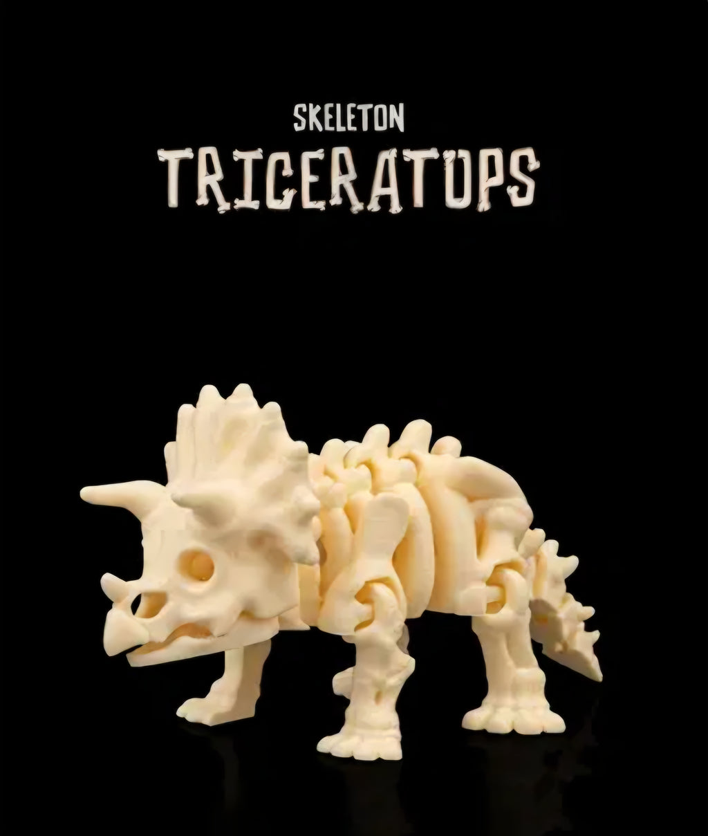 Skeleton Triceratops