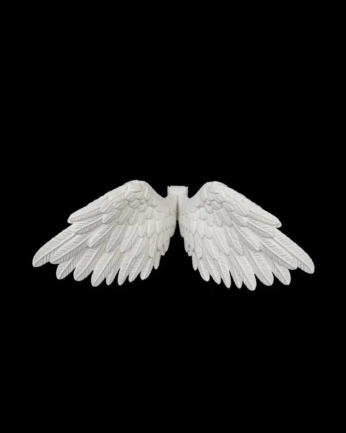 Angel Wings & Halo Pet Costume Set