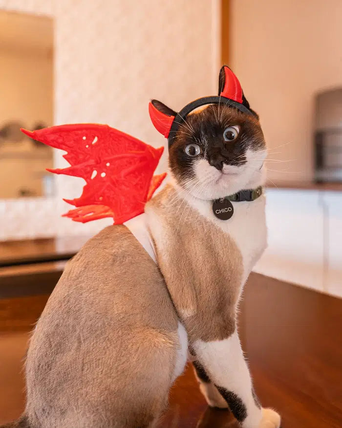 Devil Wings & Horns Pet Costume Set