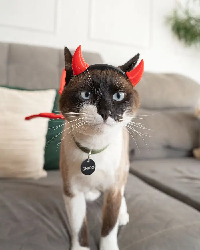 Devil Wings & Horns Pet Costume Set