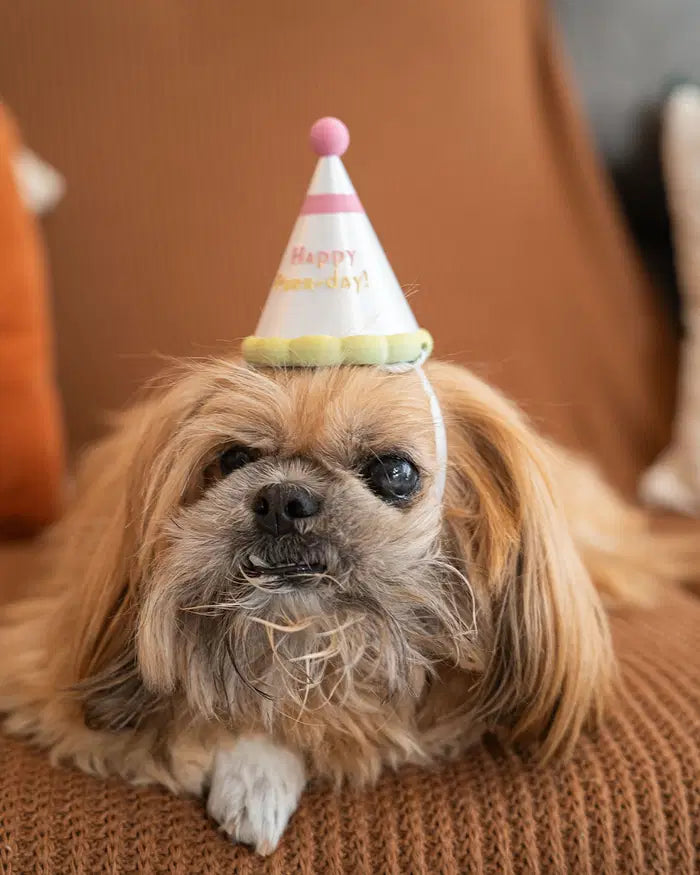 Happy Purr-day Party Hat Pet Accessory