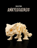 Skeleton Ankylosaurus